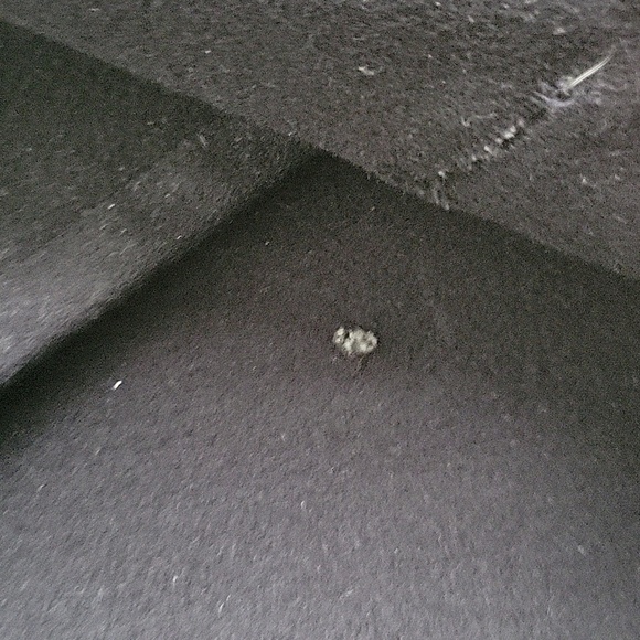 Genuine Naval Double Breasted Peacoat - Picture 4 of 10